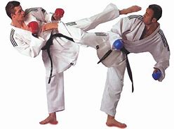 Image result for World's Best Karate Styles