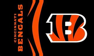 Image result for Cincinnati Bengals Banners