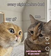 Image result for Angry Sad Cat Meme