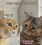 Image result for Sad Gaming Cat Meme