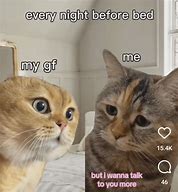 Image result for Cat Talk Meme