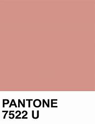 Image result for Rose Gold Pantone Color