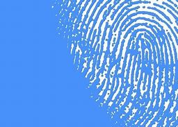 Image result for Role of a Fingerprint Analyst