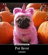 Image result for Perro Payaso Meme