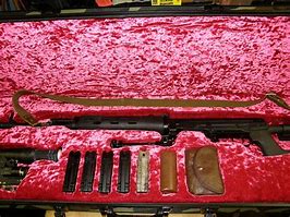 Image result for Upright Rifle Case