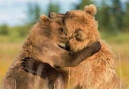Image result for Bear Hug
