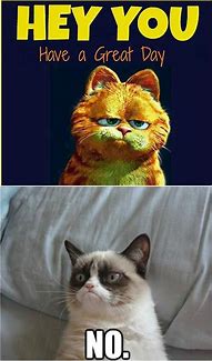 Image result for Grumpy Cat Memes Funny