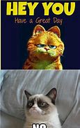 Image result for Grumpy Cat New Year Meme