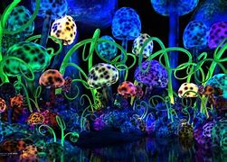 Image result for Trippy Magic Mushroom Wallpaper