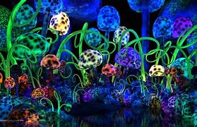 Image result for psychedelic mushrooms wallpapers
