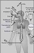 Image result for Sublingual Route of Drug Administration