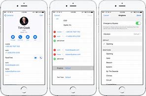 Image result for iPhone Contact Screen