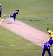Image result for Hybrid Pitch Cricket