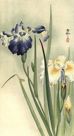 Pin di B Marcinkiewicz su fiori e alberi | Fiori giapponesi, Arte giapponese, Pittura giapponese