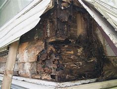 Image result for Wood Rots and Collapses