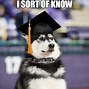 Image result for Graduate School Memes