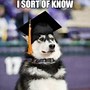 Image result for Funny College Memes No More Work