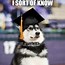 Image result for Meme Graduation Banners