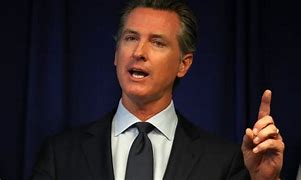 Image result for Gavin Newsom for President Campaign Signs