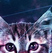 Image result for A Cat in Galaxy Colors