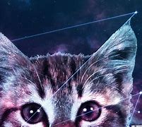 Image result for Colorful Galaxy Cats