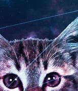 Image result for Amazing Galaxy Cat Wallpaper