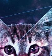 Image result for Galaxy Cat Laptop Wallpaper