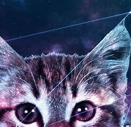 Image result for Galaxy Cat Wallpaper Blue Moon