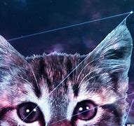 Image result for Galaxy Cat Wallpaper 4K