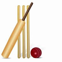 Image result for Cricket Wicket Set