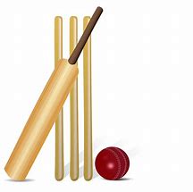Image result for Soft Ball Cricket Bat