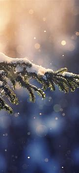 Image result for Winter iPhone Wallpapers 4K