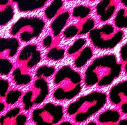 Image result for Pink Cheetah Print PNG