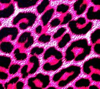 Image result for Leopard Cheetah Animal Print