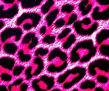Image result for Leopard Print Laptop Background