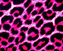 Image result for Leopard Cheetah Print Handbags