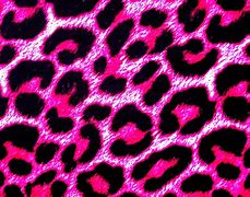 Image result for Pink Leopard Print
