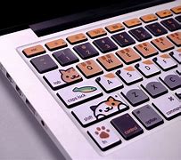 Image result for Cute Cat On Keyboard