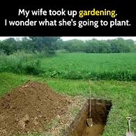 Image result for Funny Landscape