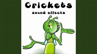 Image result for Cricket Chirp