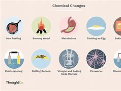 Image result for Chemical and Physical Reactions
