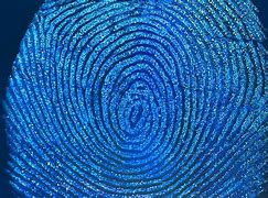 Image result for Samsung Phones with Side Fingerprint