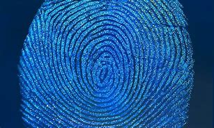 Image result for Samsung S22 Phone Fingerprint