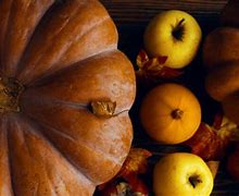 Image result for Apples and Pumpkins