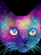 Image result for Trippy Cat High Wallpaper