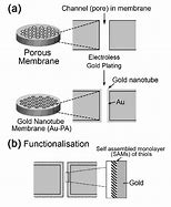 Image result for Gold Plating Applied Materials