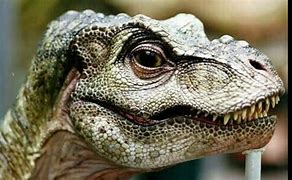 Image result for Jurassic Park Baby T-Rex