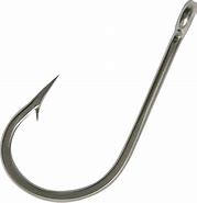 Image result for AA Spring Hook