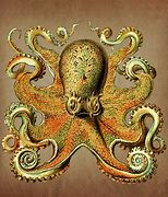 Image result for Vintage Octopus