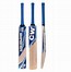 Image result for Cricket Items